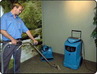 Water Removal Services